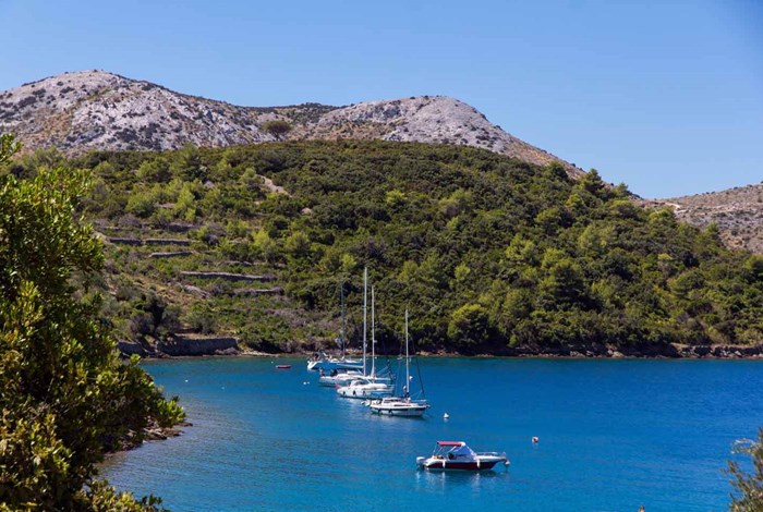 Yachts moored Rava island (photo: Zadar Tourist Office)
